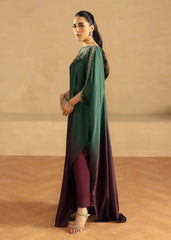 ANK - SHADED KAFTAN Rubina's Collection