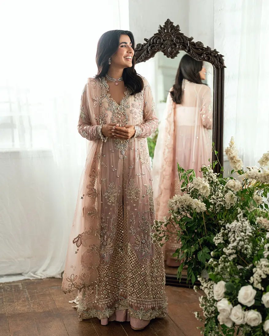 MUSHQ - SHEHNAI Rubina's Collection