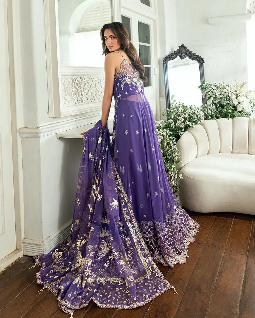 MUSHQ - TARA TAAL Rubina's Collection