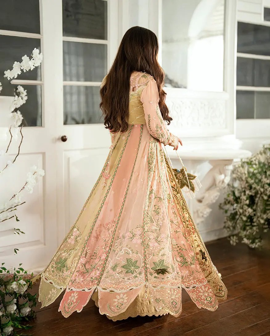 MUSHQ - SUR SUNEHRI Rubina's Collection