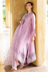 MUSHQ - VIOLET BULLET Rubina's Collection