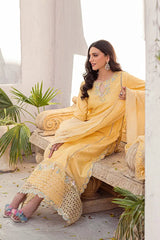 MUSHQ - MANGO SORBET Rubina's Collection