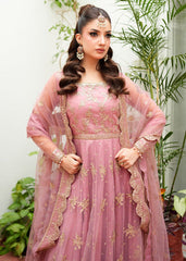 RANG-E-HAYA - ANORAH