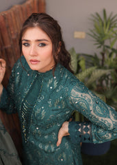 RANG-E-HAYA - GULNAAZ