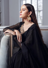 RANG-E-HAYA - INAYA SAREE