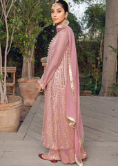 RANG-E-HAYA - UFAQ (HOT PINK)