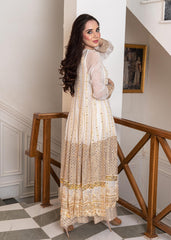 RANG-E-HAYA - ANCHAL (WHITE)