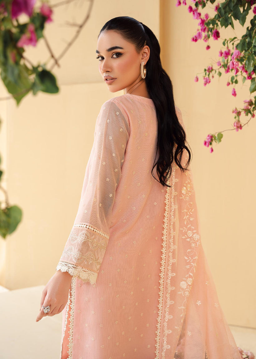 RANG-E-HAYA - AYLA (PINK)