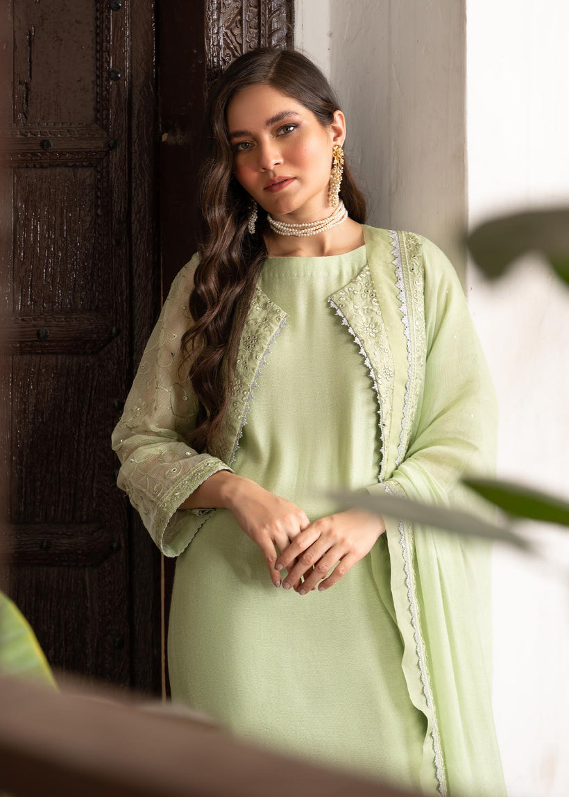 RANG-E-HAYA - NURI (MINT WITH JACKET)
