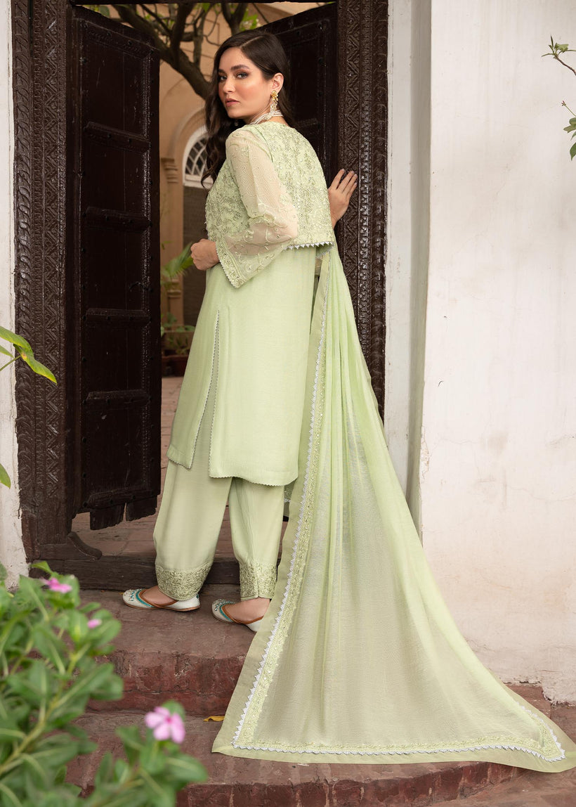RANG-E-HAYA - NURI (MINT WITH JACKET)