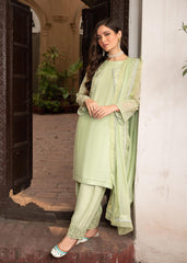 RANG-E-HAYA - NURI (MINT WITH JACKET)