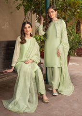 RANG-E-HAYA - NURI (MINT WITH JACKET)