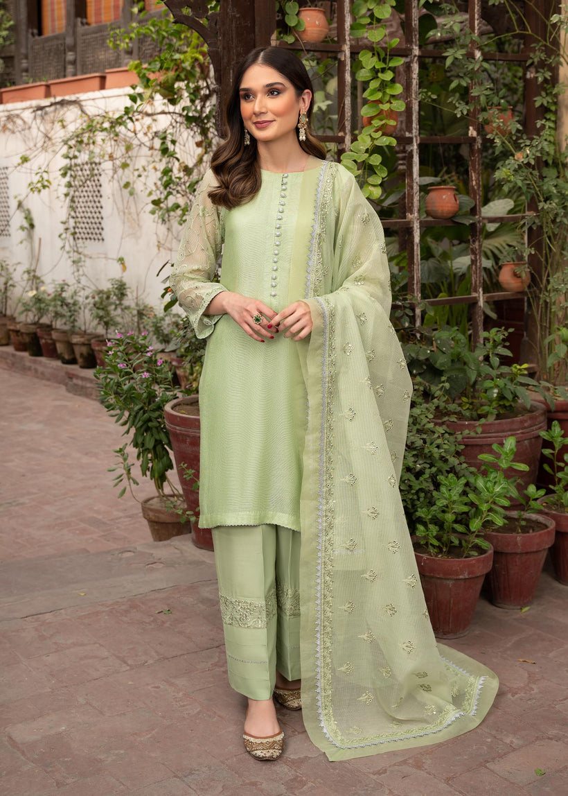 RANG-E-HAYA - NURI (MINT)