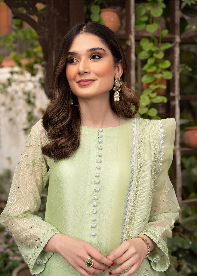RANG-E-HAYA - NURI (MINT)