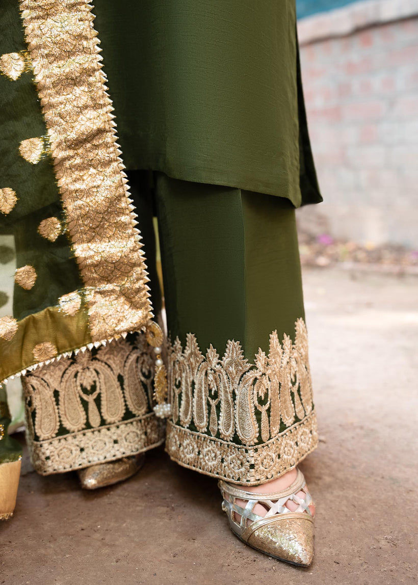 RANG-E-HAYA - SHIREEN GREEN