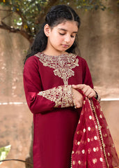 RANG-E-HAYA - SHIREEN MAROON KIDS