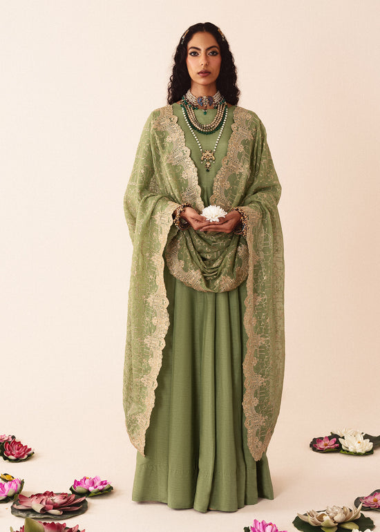 RANG-E-HAYA - OLIVIA (OLIVE GREEN)