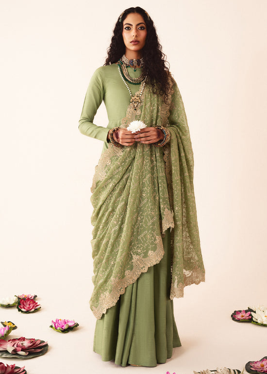 RANG-E-HAYA - OLIVIA (OLIVE GREEN)