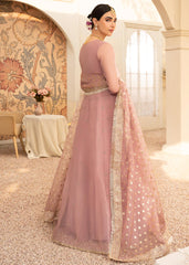 RANG-E-HAYA - ZARNASH (LYLIC PINK)
