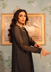 RANG-E-HAYA - NAINA (ICE BLACK)