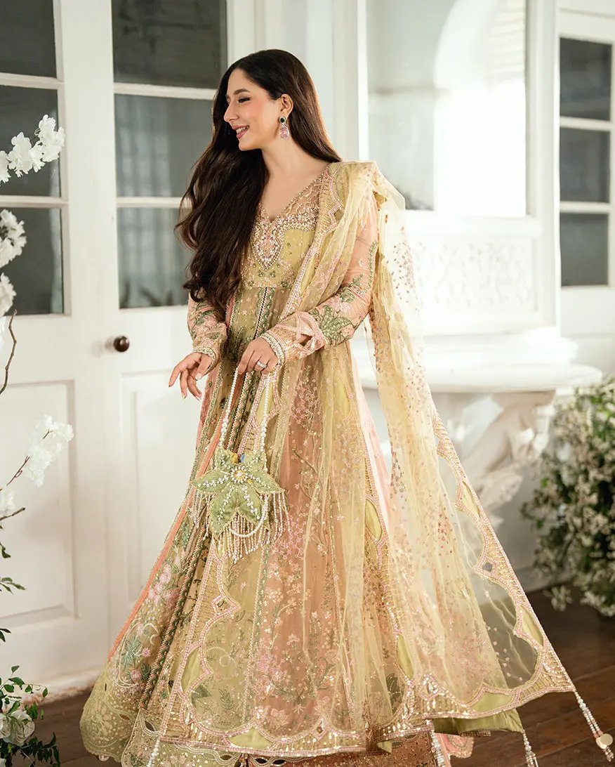 MUSHQ - SUR SUNEHRI Rubina's Collection