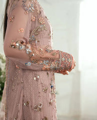 MUSHQ - ROOP RANGOLI Rubina's Collection