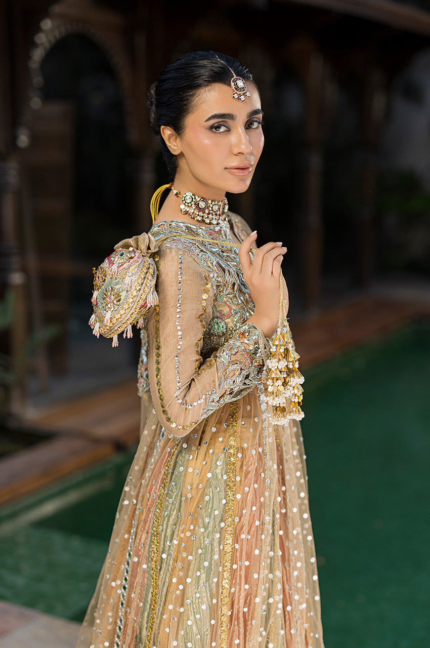 ANAYA