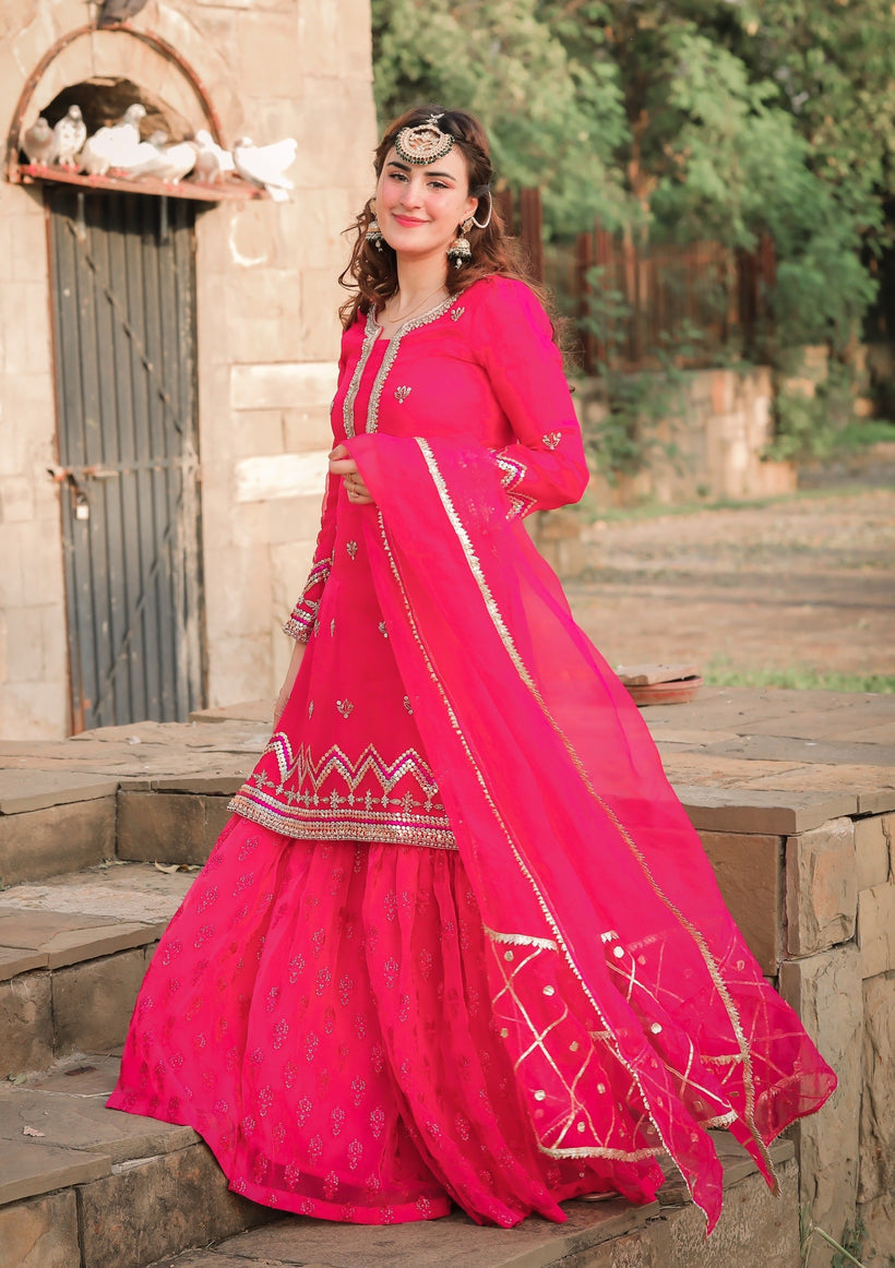 RANG-E-HAYA - AANIAT PAIRHAN (PINK)