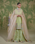 ASHMIZA MINT