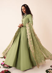 RANG-E-HAYA - OLIVIA (OLIVE GREEN)