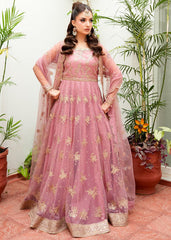 RANG-E-HAYA - ANORAH