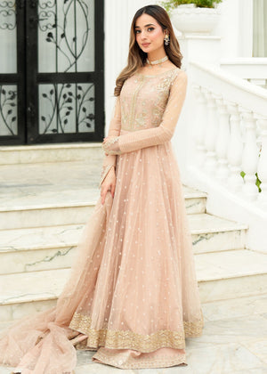 RANG-E-HAYA - AMOUR