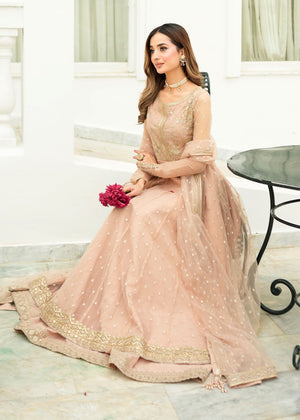 RANG-E-HAYA - AMOUR