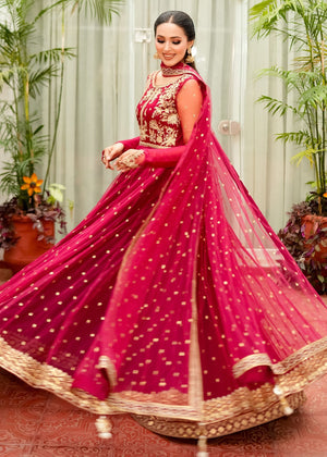RANG-E-HAYA - ROSELLA